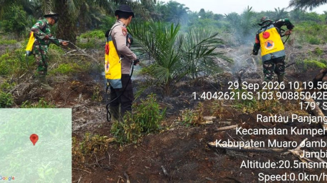 Memastikan Bara Mati, Perang Panjang Pendinginan di Lahan Gambut Muaro Jambi
